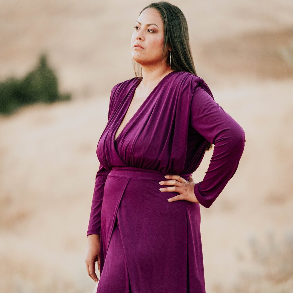 Nivole Plum Maxi Long Dress